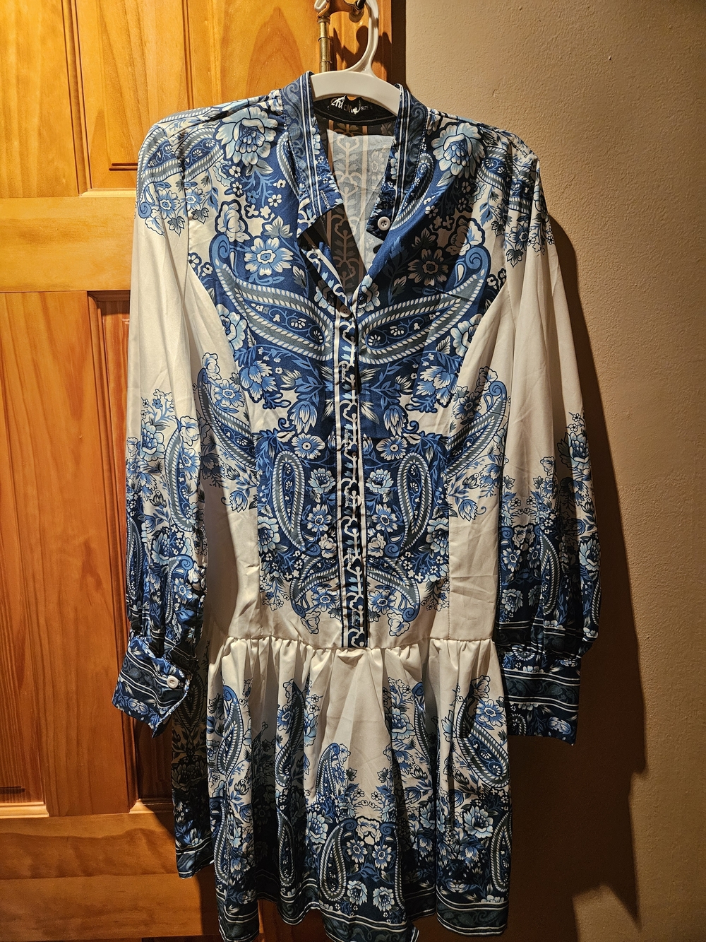 Blue Paisley Long-Sleeve Button-Front Dress